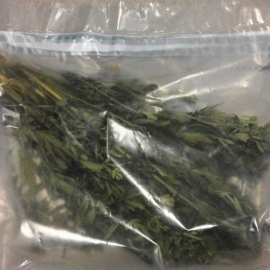 Schowali marihuanę w majtkach, policja znalazła